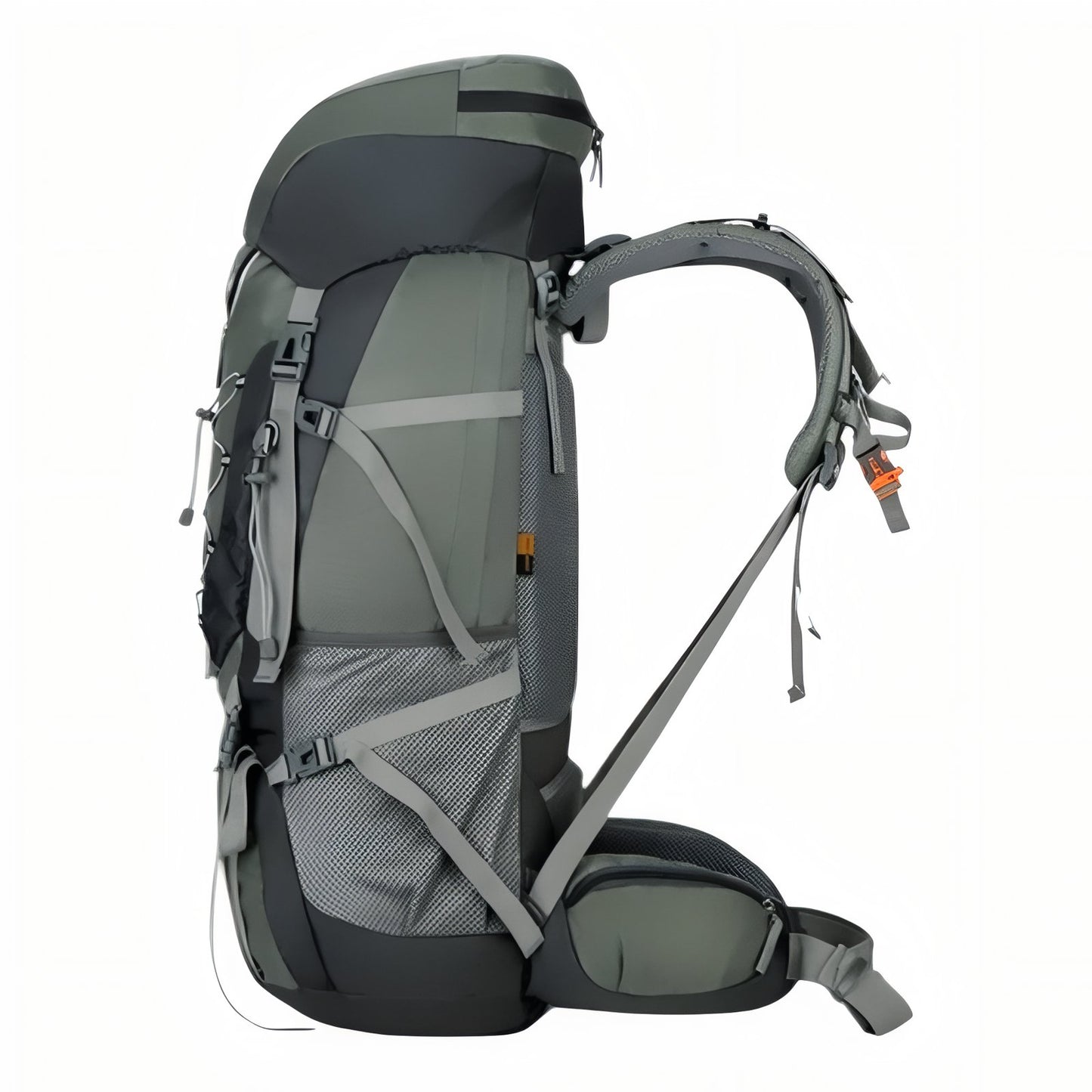 Sac à Dos Imperméable Randonnée 75L gros plan sangle et dos - Vert Foncé - Bleu Marine - Bleu Océan - Noir