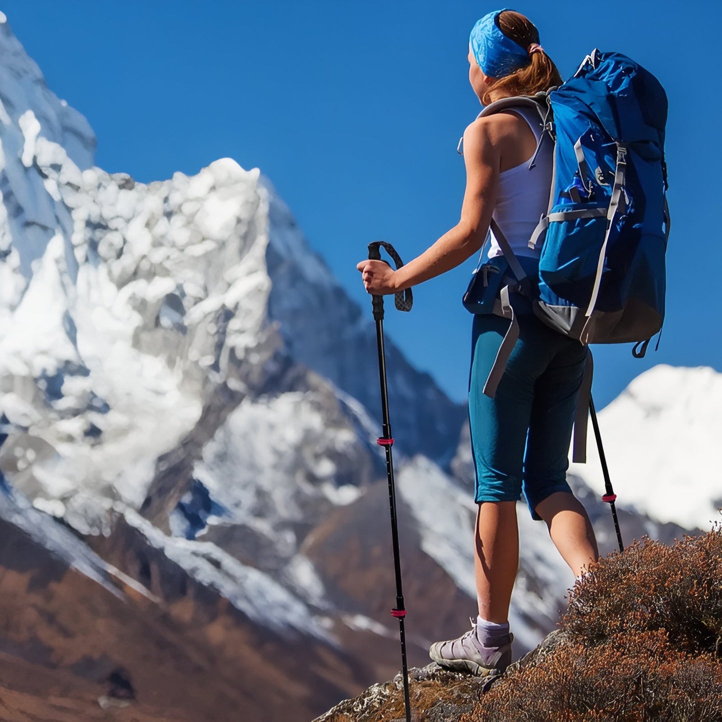 Bâton de Randonnée Télescopique Carbone portée à la main - Bleu et Noir - Rouge et Noir