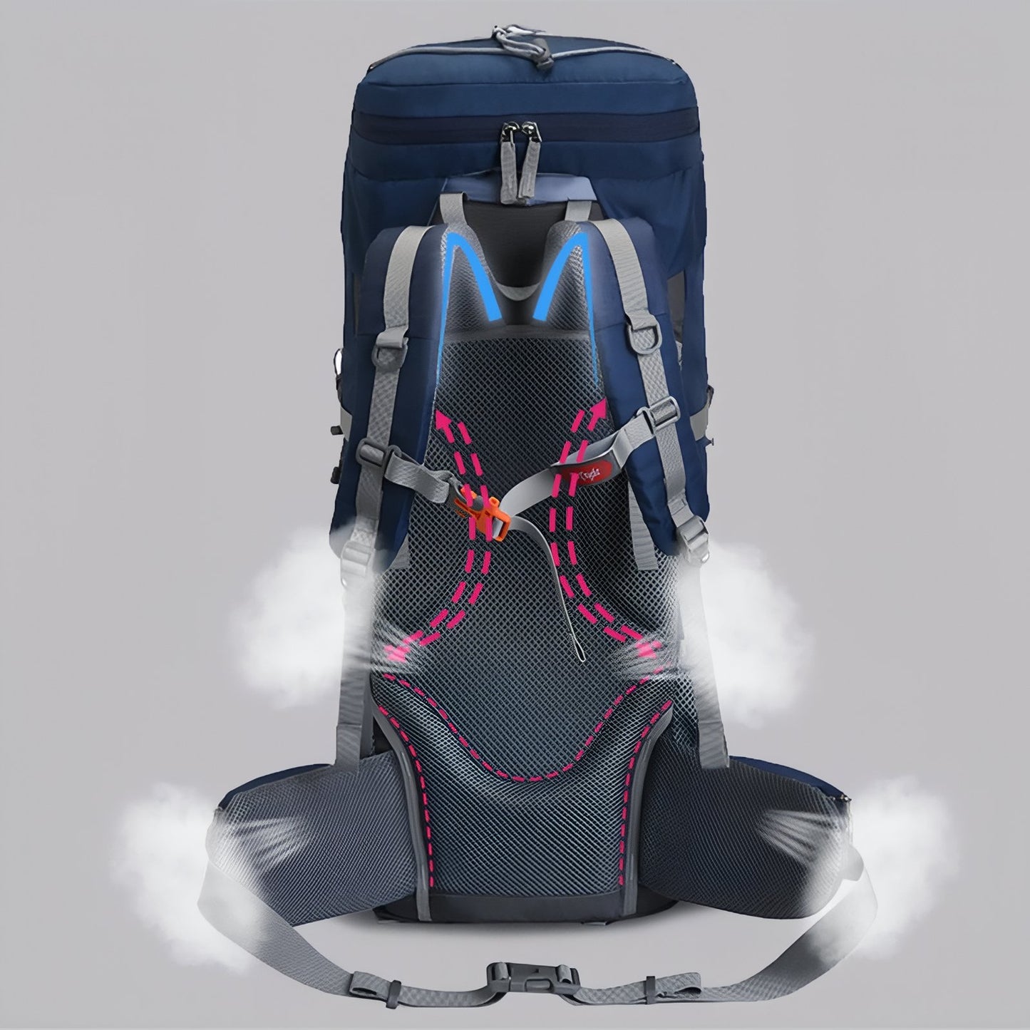 Sac à Dos Randonnée Respirant 60 Litres détail du dos - Violet - Vert - Noir - Bleu Marine