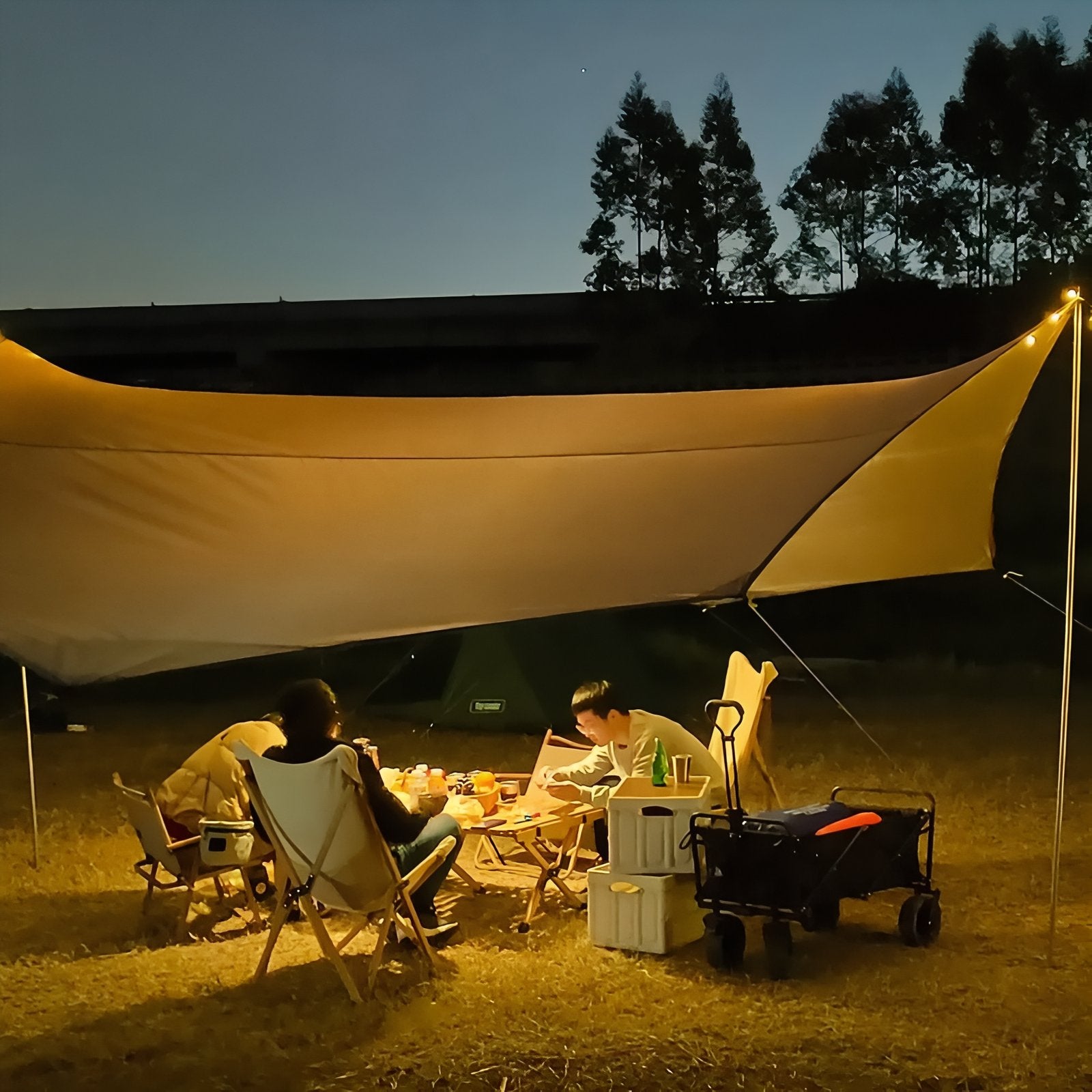 Tarp Randonnée 5.1x5.1M mise en situation camping - Gris et Vert - Gris Foncé et Argenté - Beige et Argent