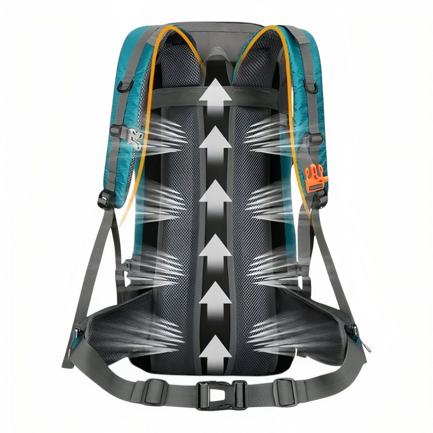 Sac à Dos Rando Avec Protection Pluie 70L gros plan dos du sac - Turquoise et Noir - Bleu Marine et Gris - Orange et Gris - Noir et Orange