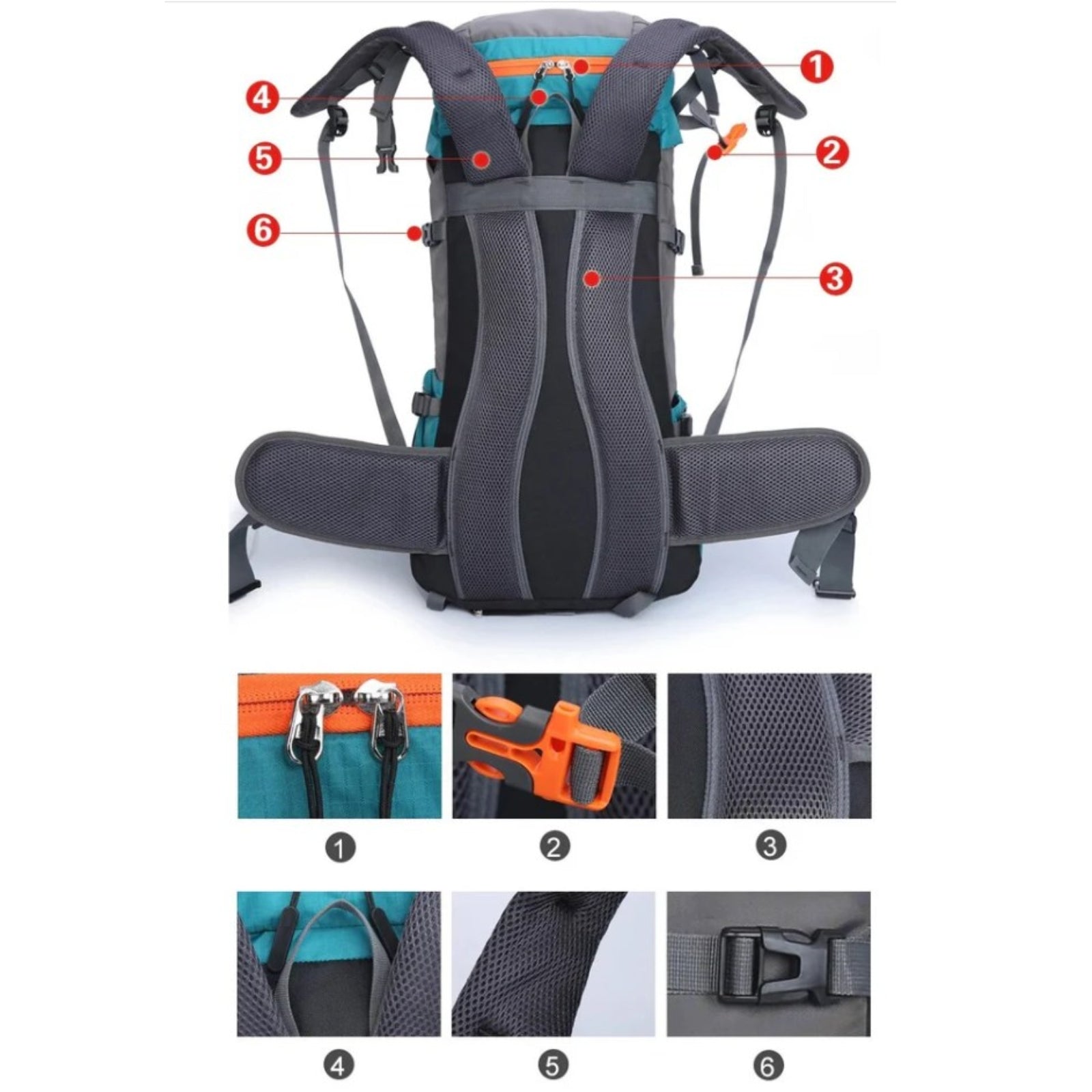 Sac à Dos Grande Randonnée 65L détails des sangles - Turquoise - Bleu Marine - Orange - Noir