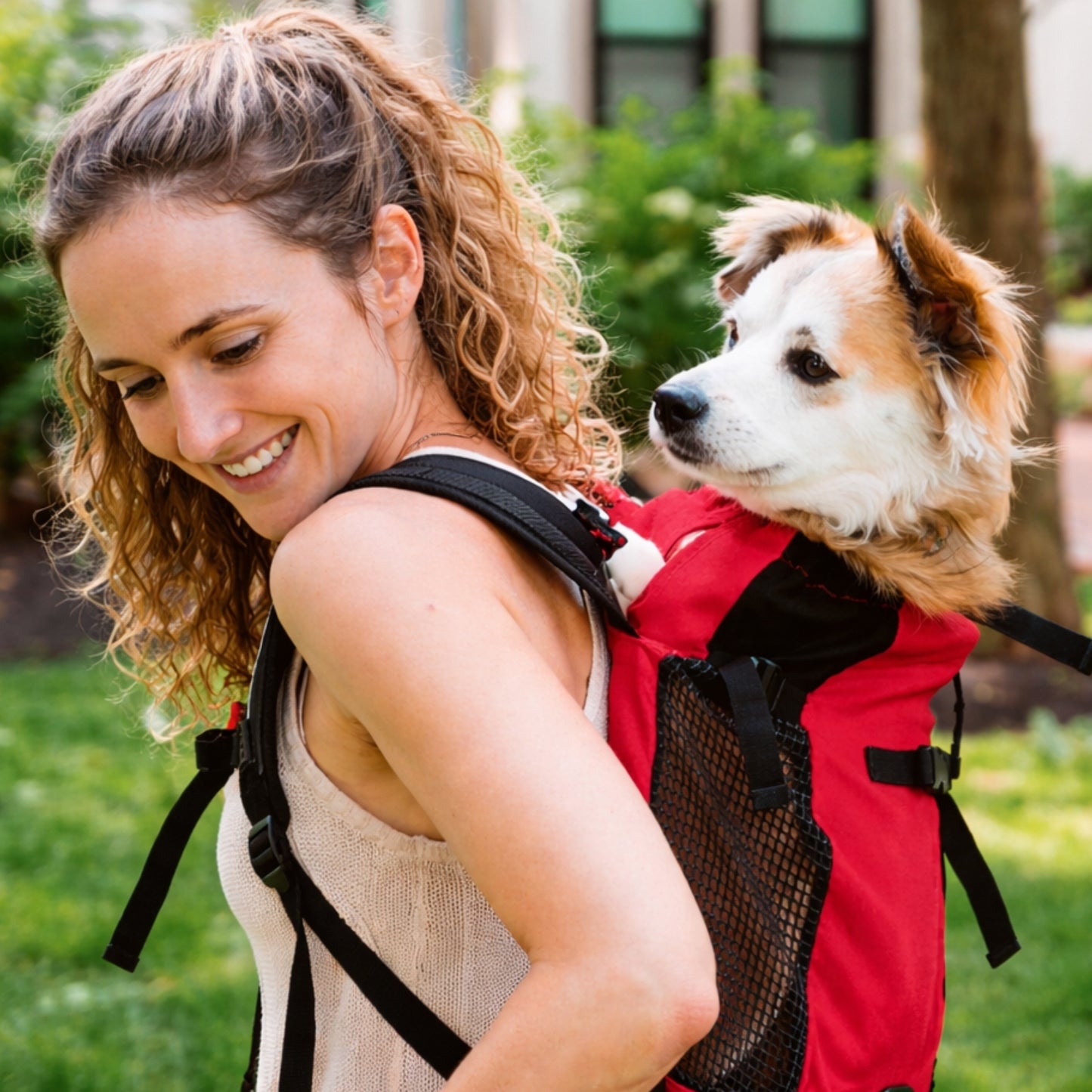 Sac Porte Chien Randonnée portée sur le dos - Bleu - Gris Clair - Rouge Cerise - Noir - Gris Foncé
