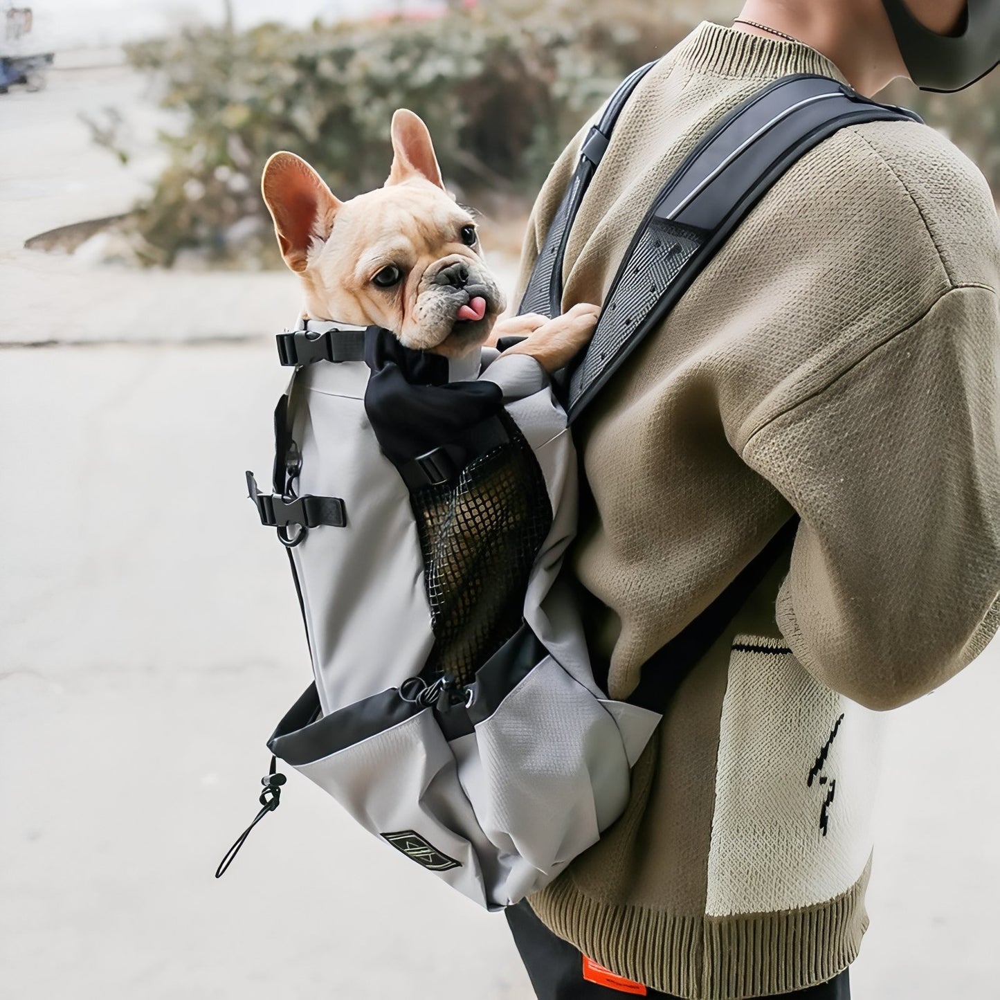 Sac Porte Chien Randonnée portée sur le dos - Bleu - Gris Clair - Rouge Cerise - Noir - Gris Foncé