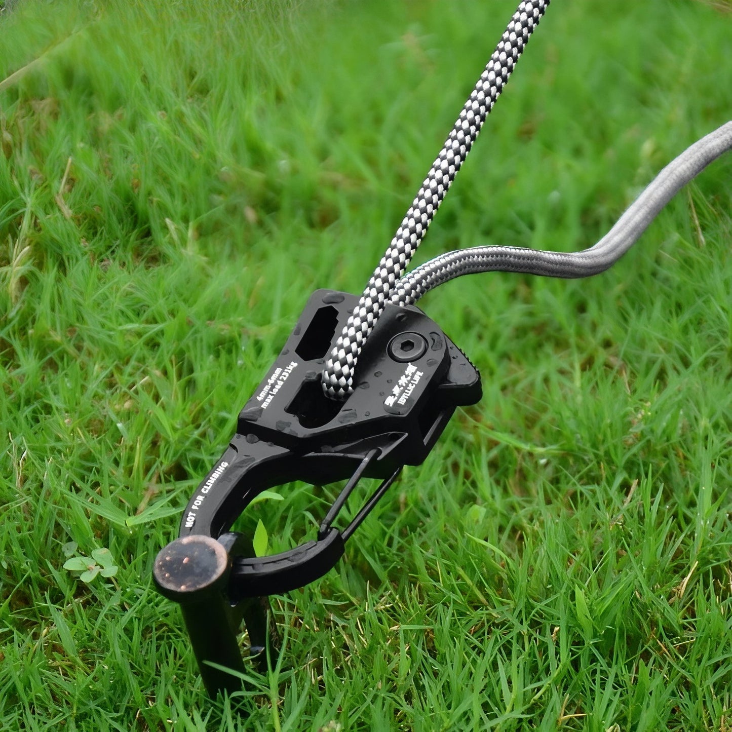 Tendeur Pour Corde De Tente gros plan sur le produit - Noir Ébène