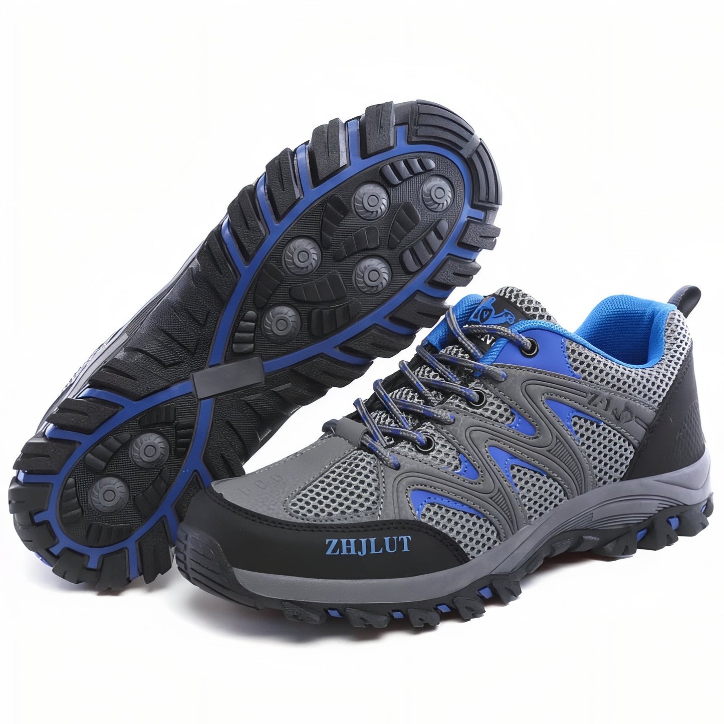 Chaussure Basse Randonnée Homme - Gris et Bleu